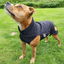 Fleece Coat Staffordshire Bull Terrier 1935®