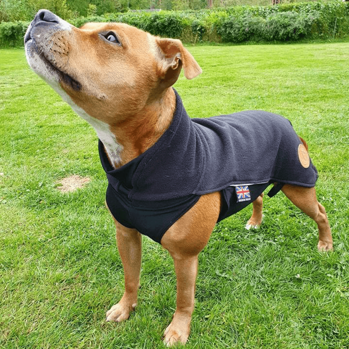 Fleece Coat Staffordshire Bull Terrier 1935®