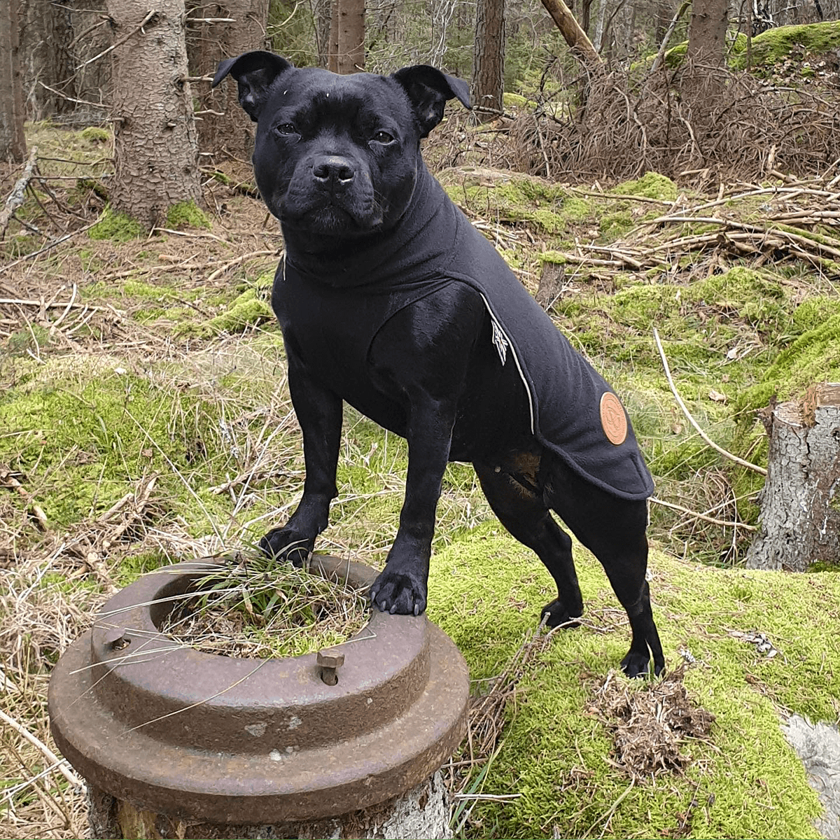 Fleece Coat Staffordshire Bull Terrier 1935®