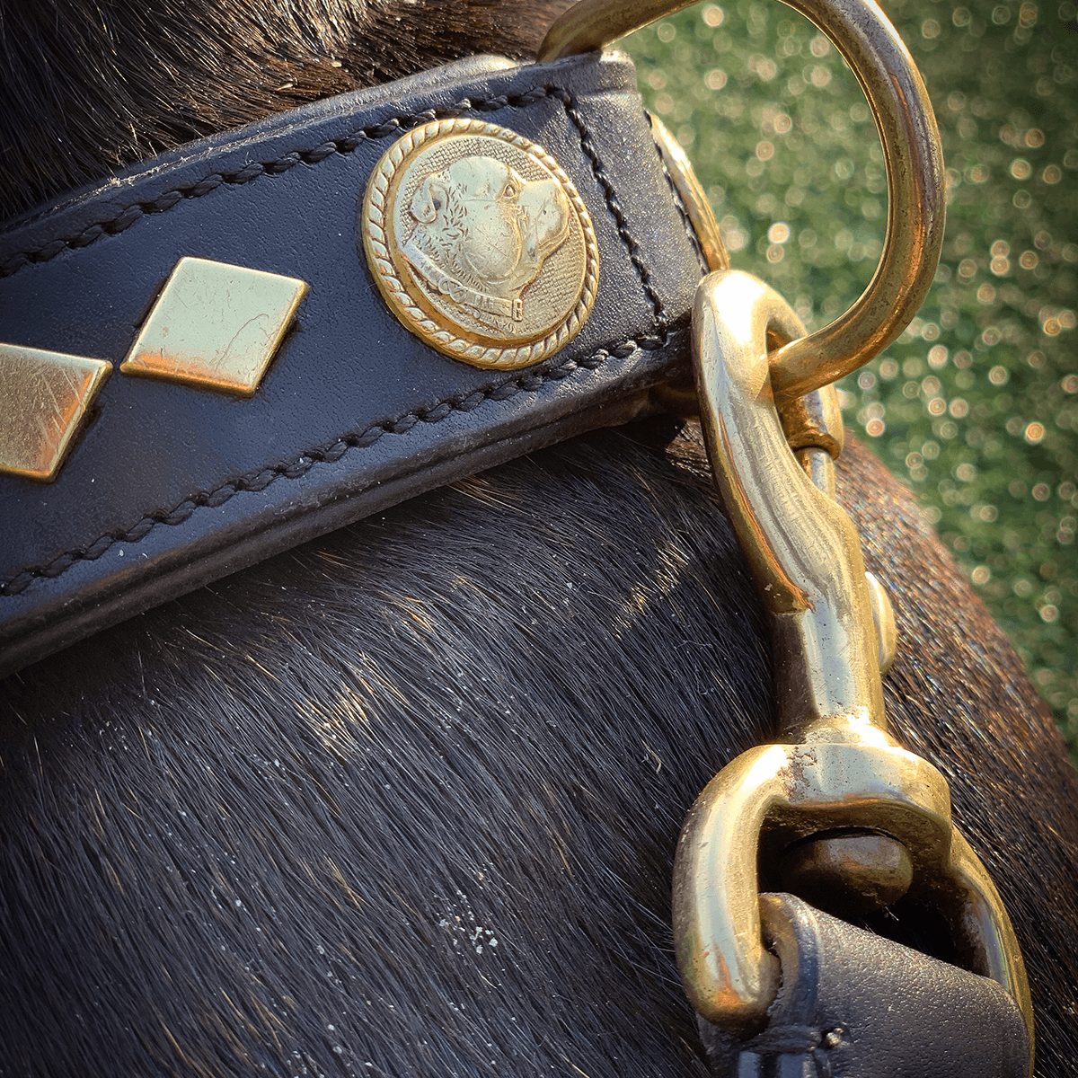 Staffordshire Bull Terrier 1935® Leather Collar & Leash Set - Gentleman Jim - Black/Gold