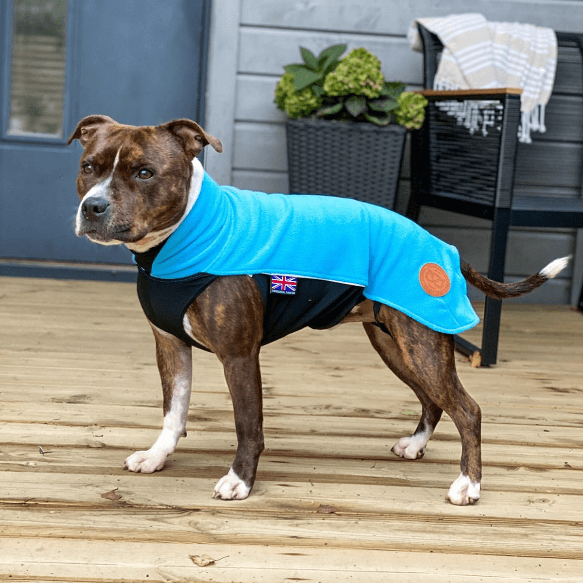 Fleece Coat Staffordshire Bull Terrier 1935®