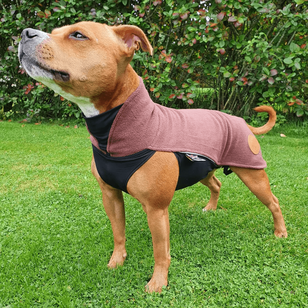 Fleece Coat Staffordshire Bull Terrier 1935®