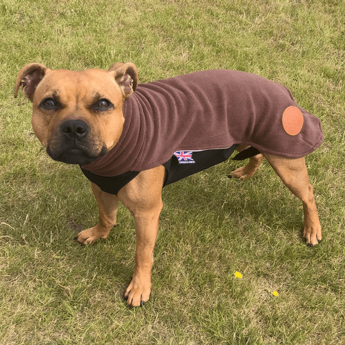 Fleece Coat Staffordshire Bull Terrier 1935®