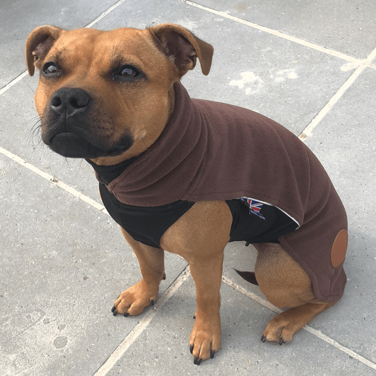 Fleece Coat Staffordshire Bull Terrier 1935®