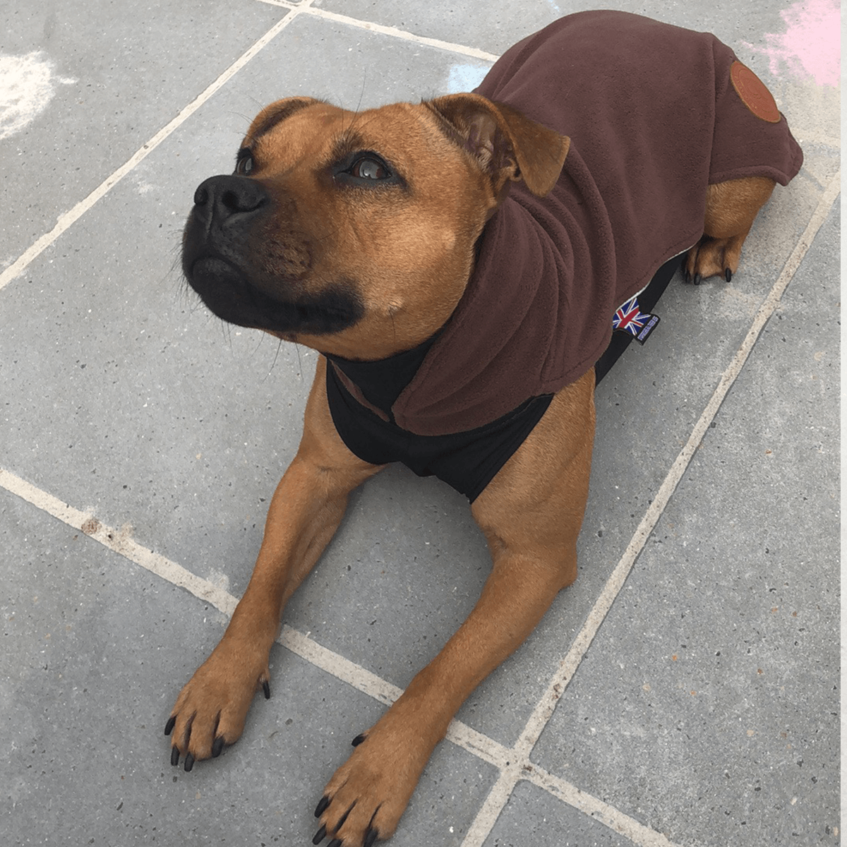 Fleece Coat Staffordshire Bull Terrier 1935®