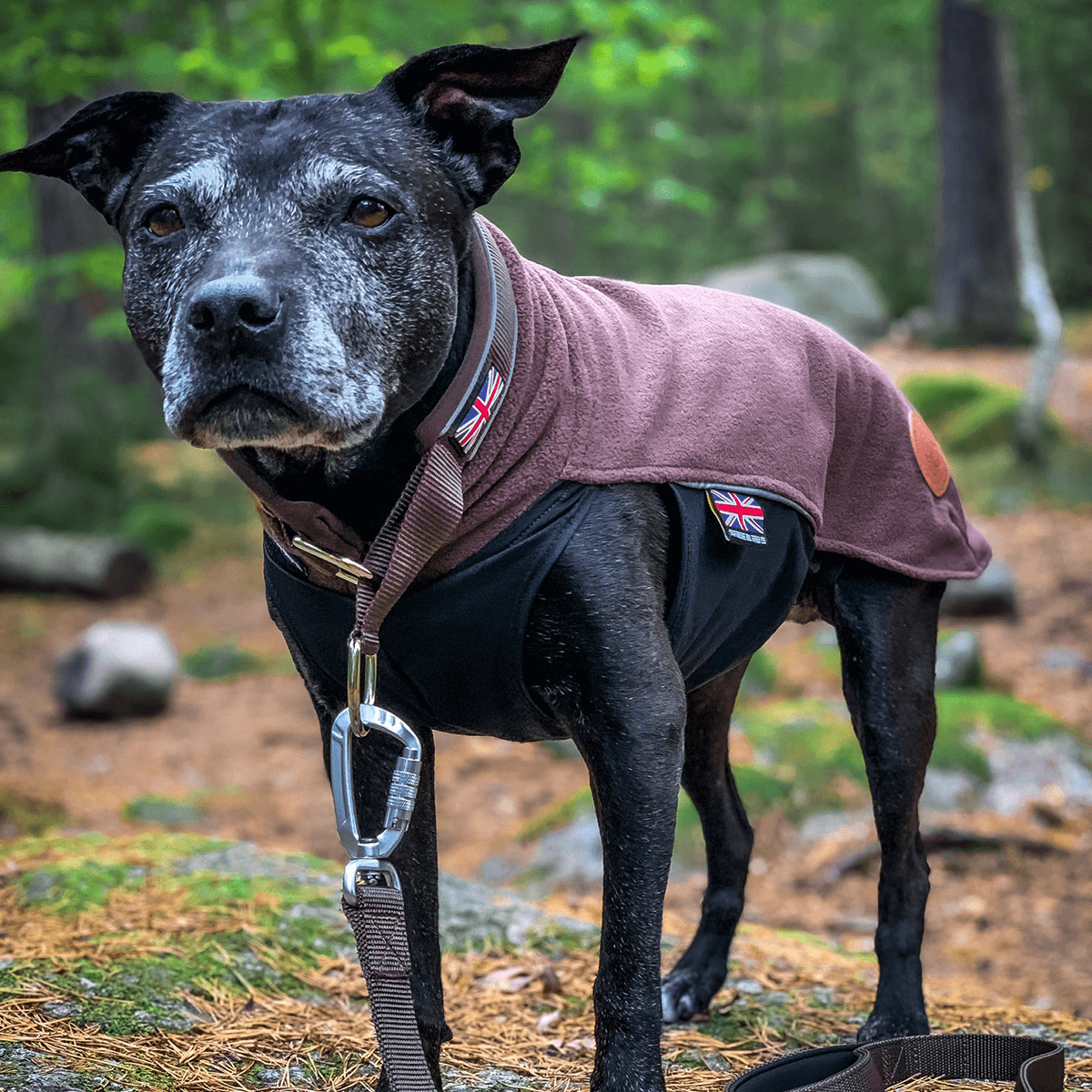 Fleece Coat Staffordshire Bull Terrier 1935®