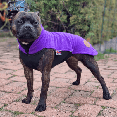 Staffordshire Bull Terrier 1935® Fleece Coat - Dark Purple