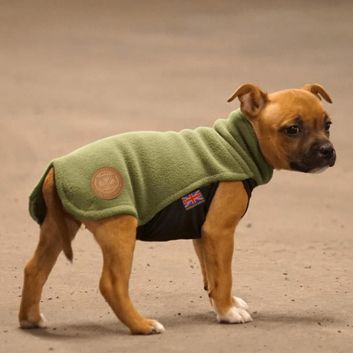 Staffordshire Bull Terrier Puppy Fleece Coat - Staffordshire Bull Terrier 1935®