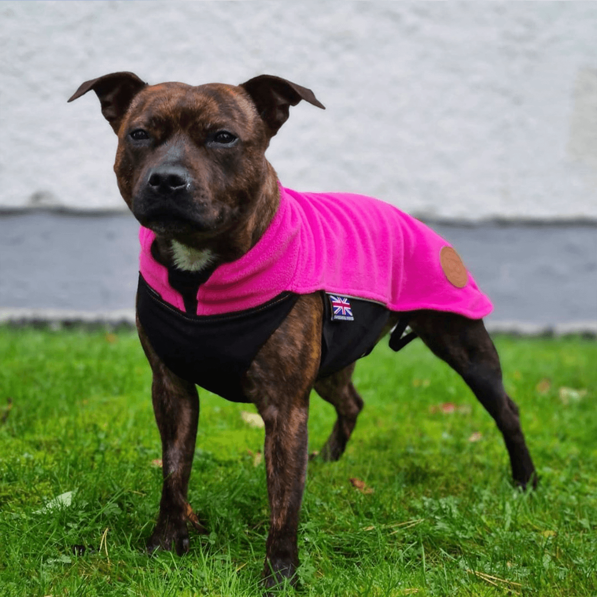 Fleece Coat Staffordshire Bull Terrier 1935®