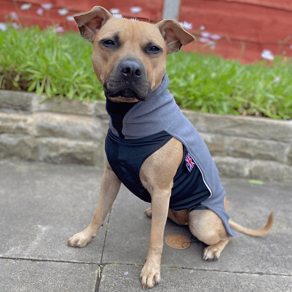 Fleece Coat Staffordshire Bull Terrier 1935®