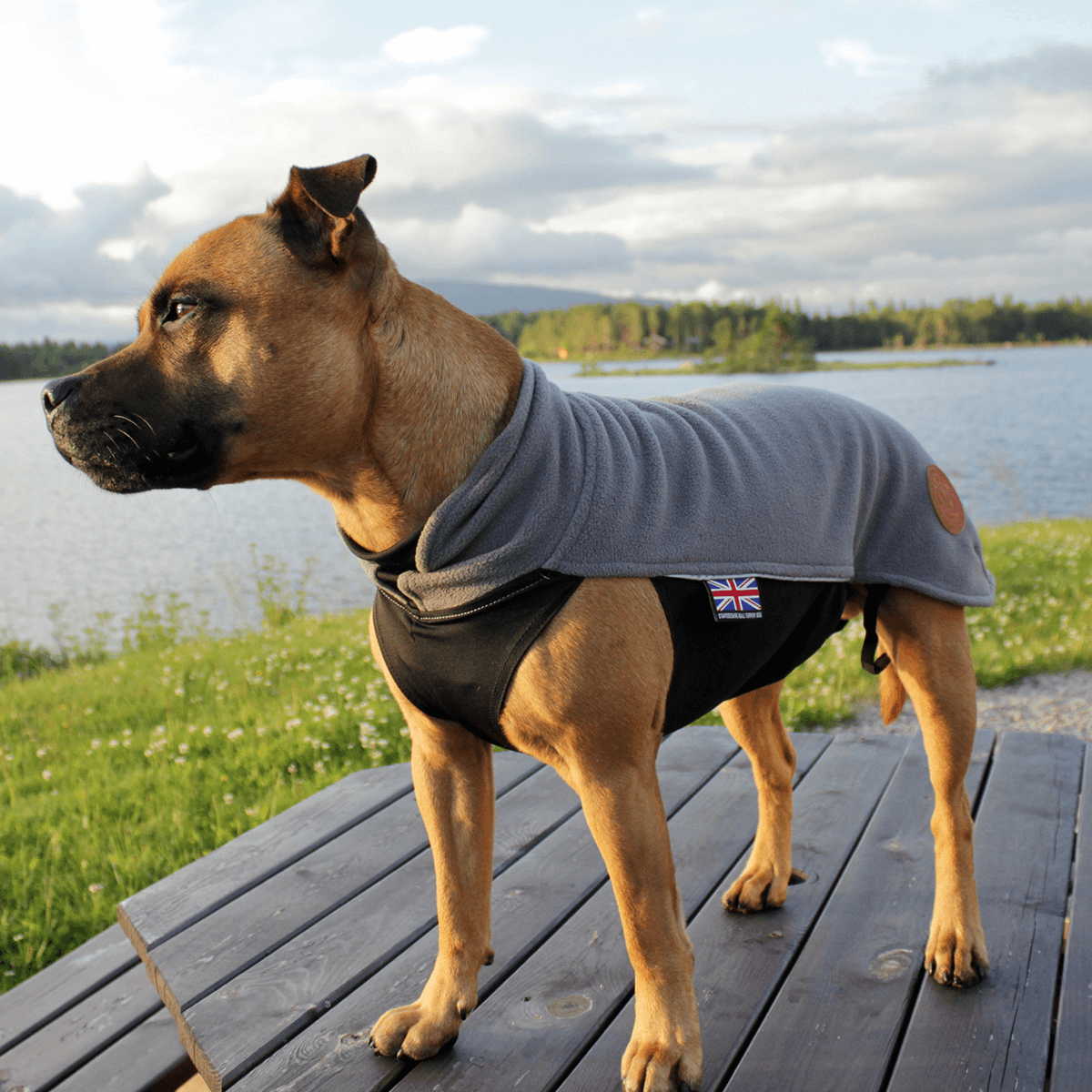 Fleece Coat Staffordshire Bull Terrier 1935®