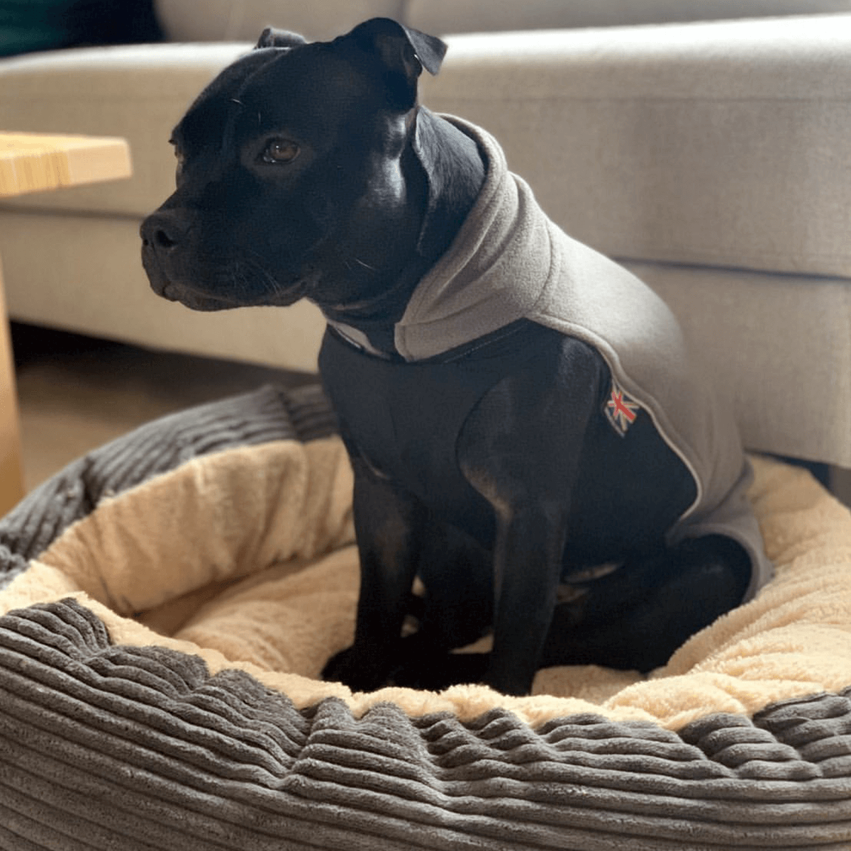 Fleece Coat Staffordshire Bull Terrier 1935®