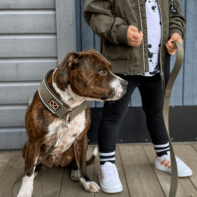 Staffordshire Bull Terrier 1935® Nylon Leash - Green - Carabiner