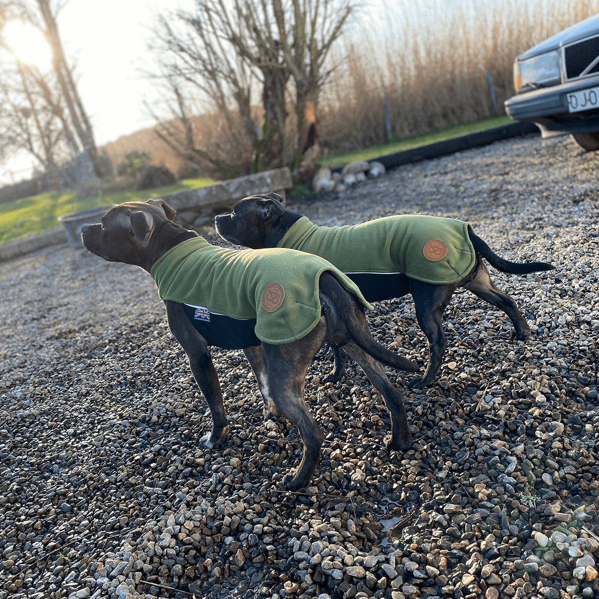 Fleece Coat Staffordshire Bull Terrier 1935®