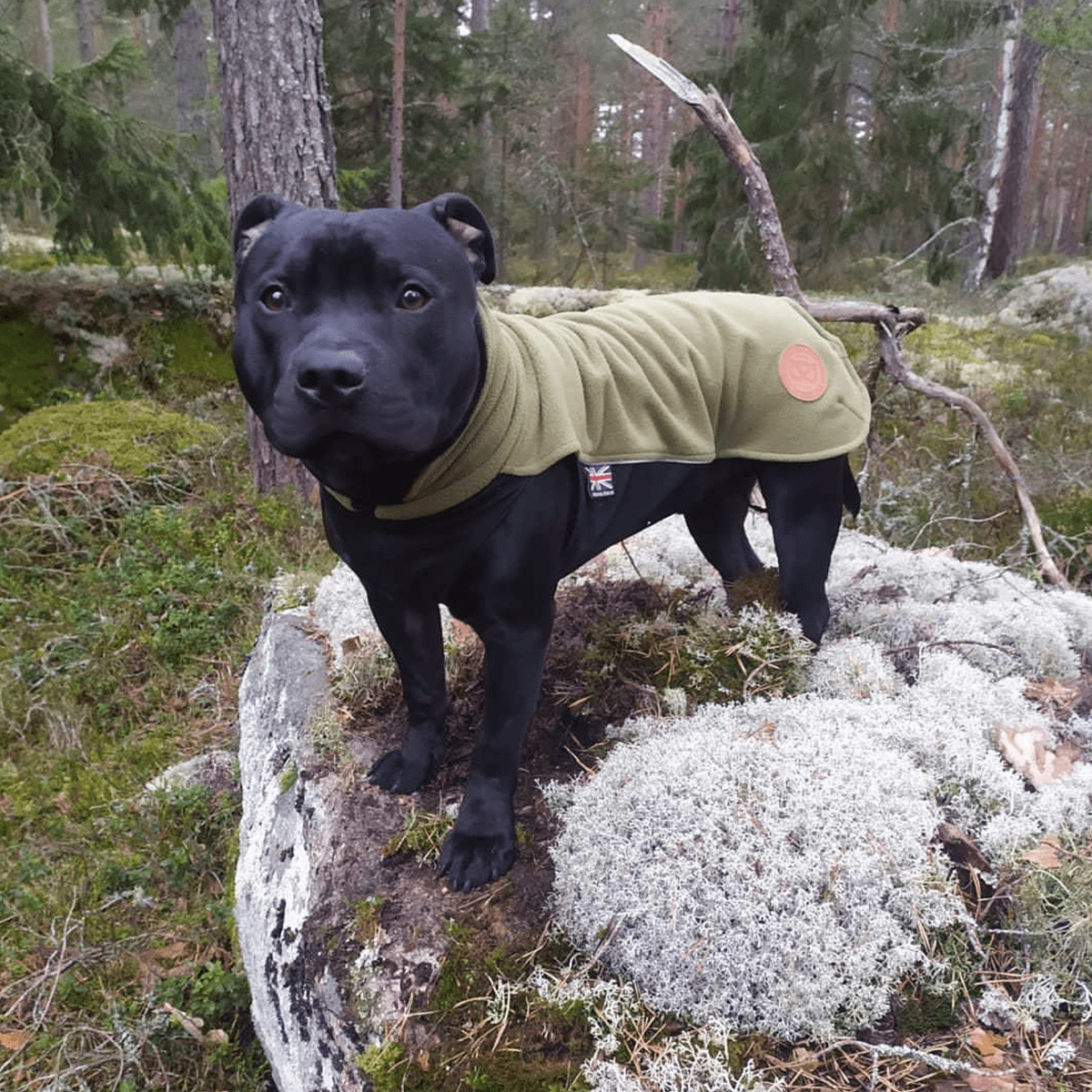 Fleece Coat Staffordshire Bull Terrier 1935®