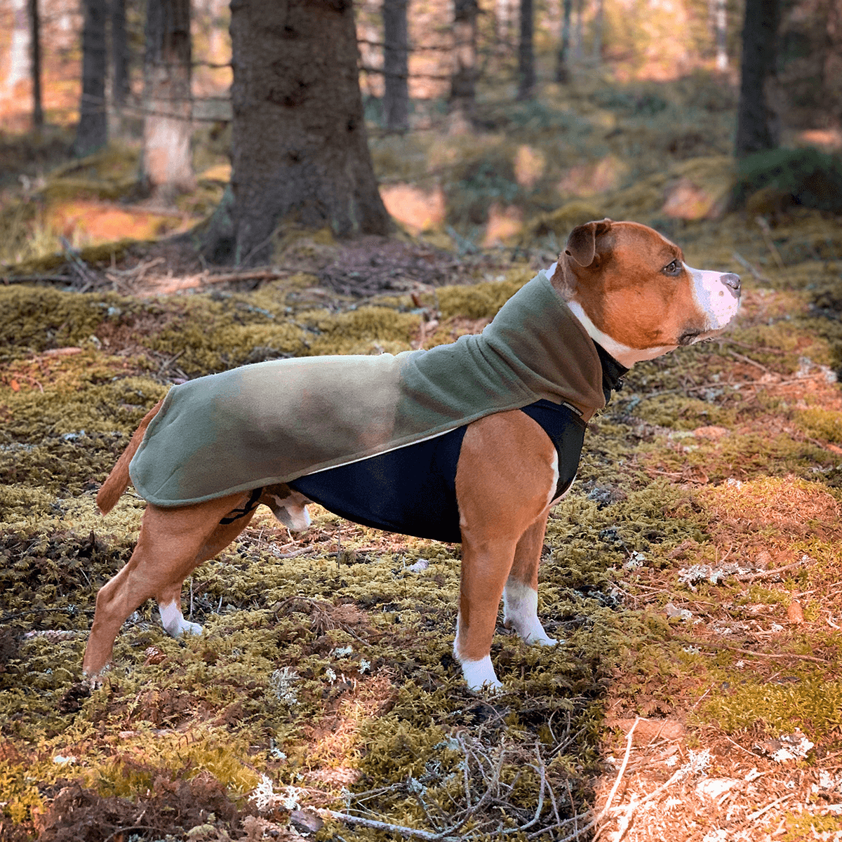 Fleece Coat Staffordshire Bull Terrier 1935®