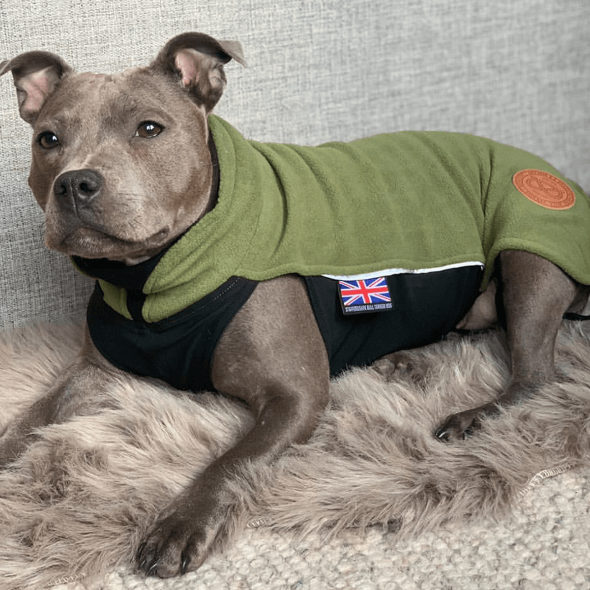 Fleece Coat Staffordshire Bull Terrier 1935®