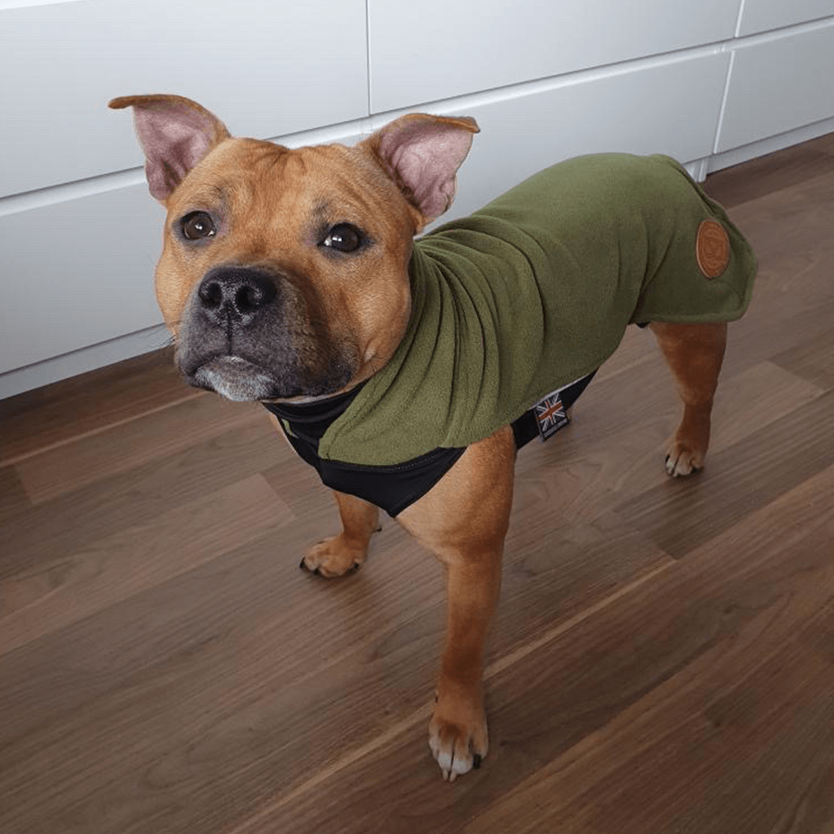 Fleece Coat Staffordshire Bull Terrier 1935®