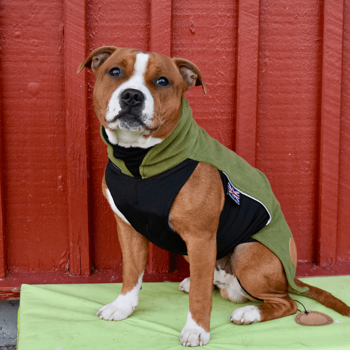 Fleece Coat Staffordshire Bull Terrier 1935®