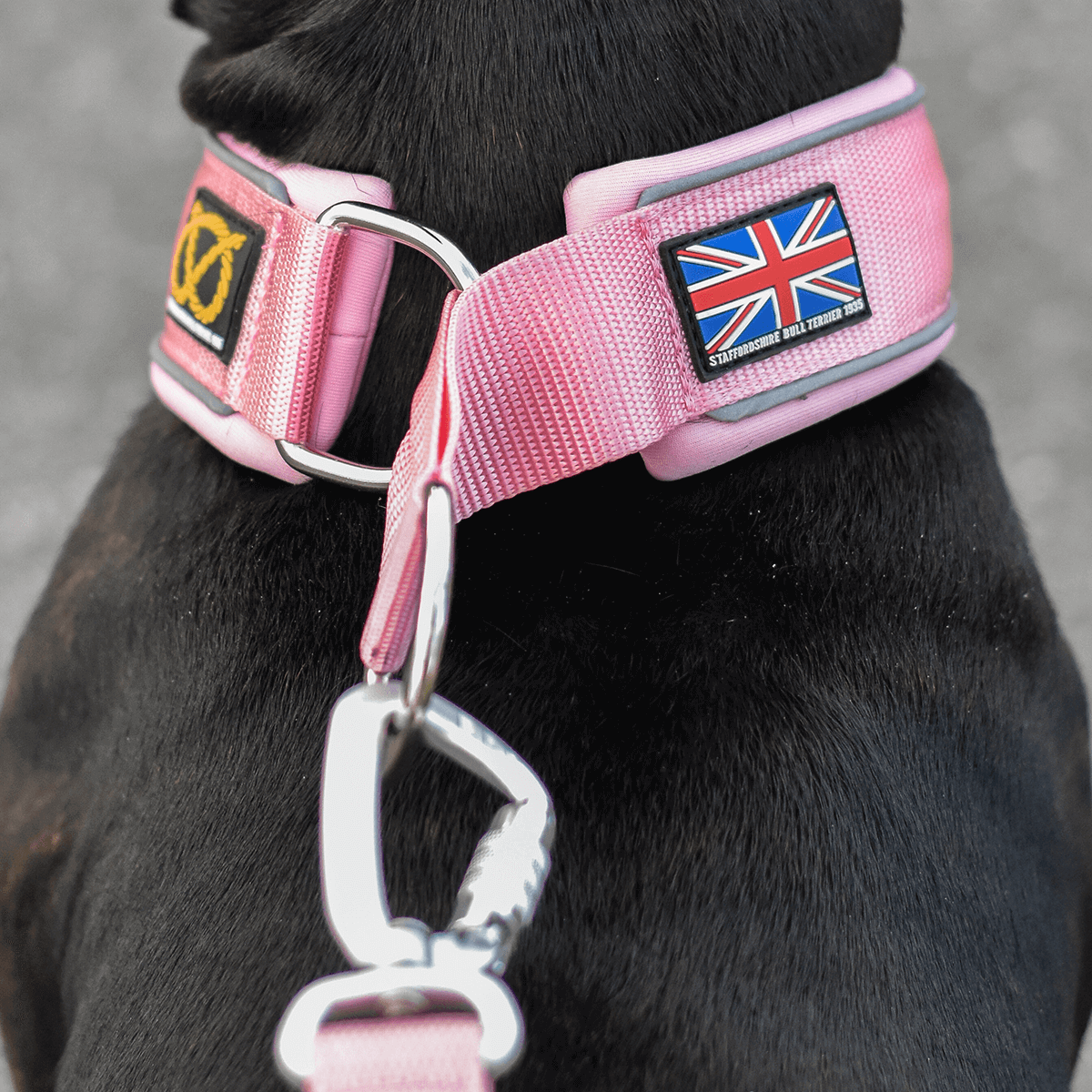 Martingale Half Choke Collar Staffordshire Bull Terrier 1935®