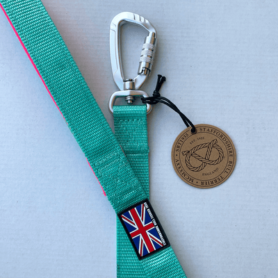 Staffordshire Bull Terrier 1935® Nylon Leash - Maya & Bonnie - Mint Flamingo - Carabiner