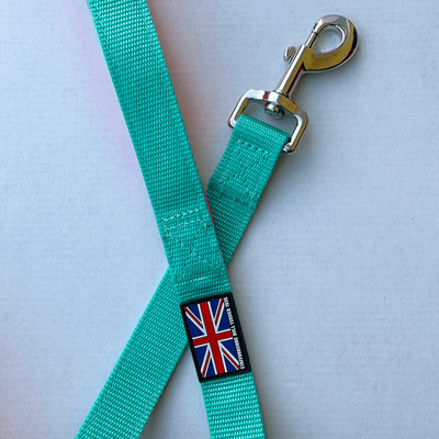 Staffordshire Bull Terrier 1935® Nylon Leash