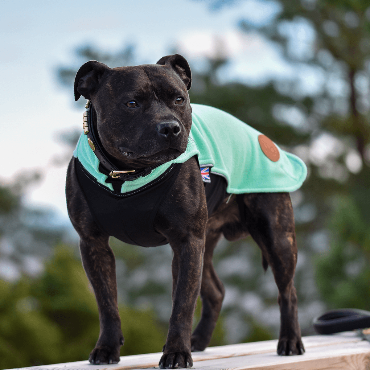 Staffy Fleece Coat - Staffordshire Bull Terrier 1935®