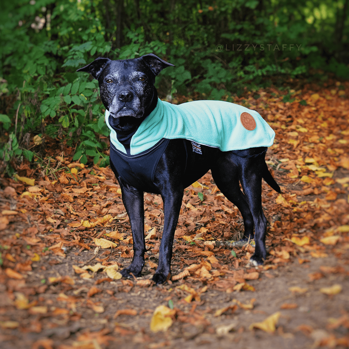 Staffy Fleece Coat - Staffordshire Bull Terrier 1935®