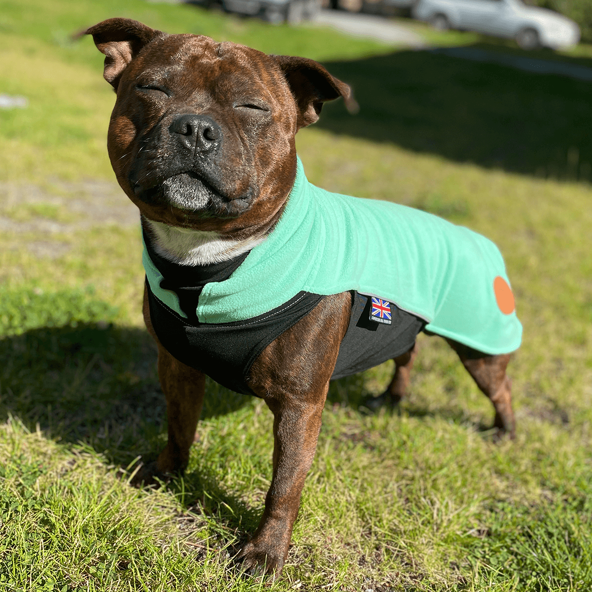 Staffy Fleece Coat - Staffordshire Bull Terrier 1935®