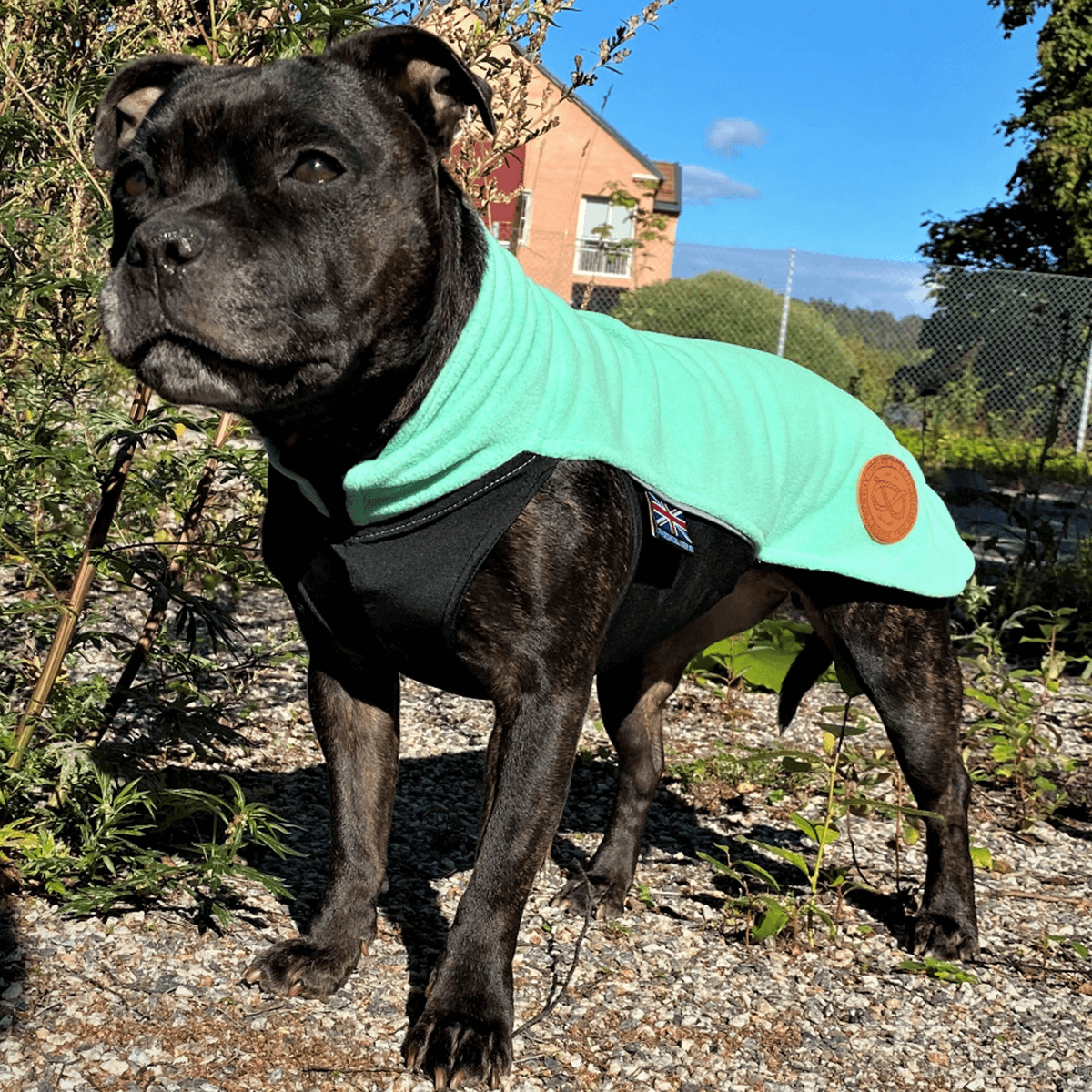 Staffy Fleece Coat - Staffordshire Bull Terrier 1935®