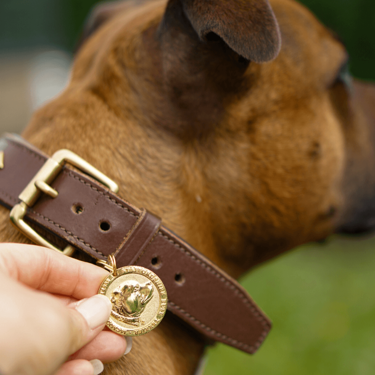 Staffordshire Bull Terrier 1935® Namnbricka