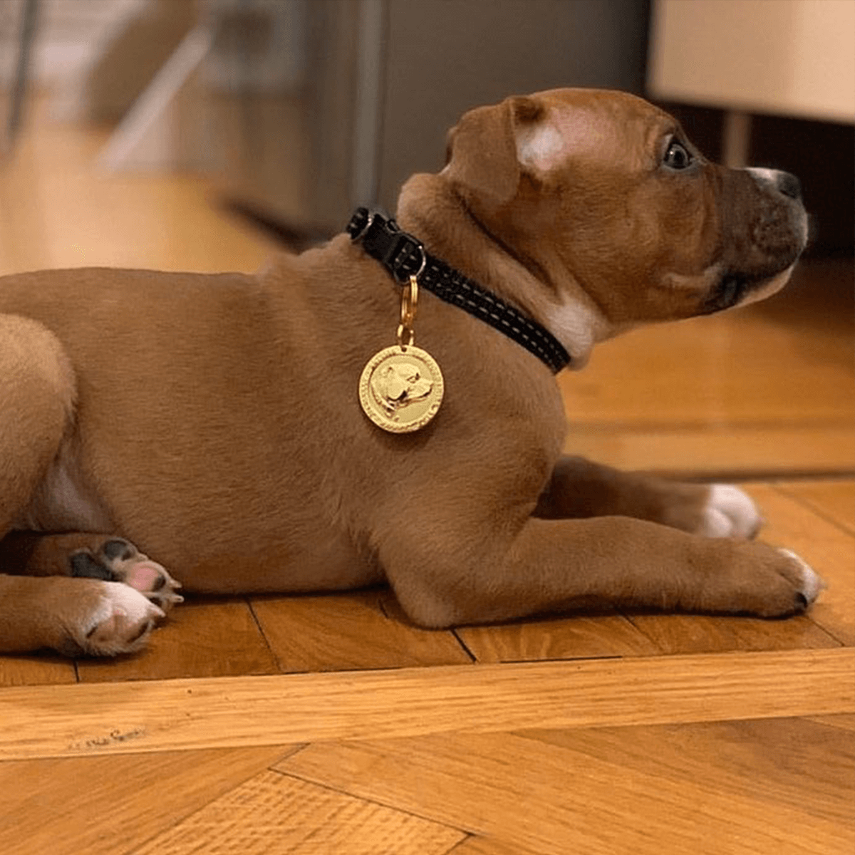 Staffy Nametag - Staffordshire Bull Terrier 1935®