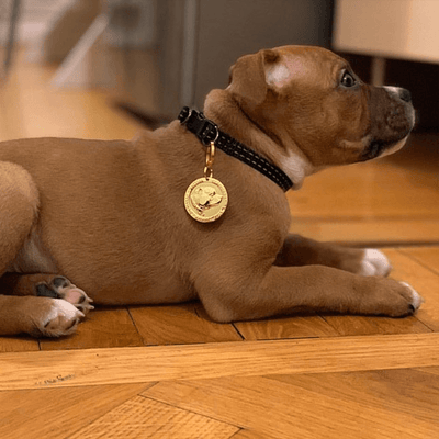 Staffy Nametag - Staffordshire Bull Terrier 1935®