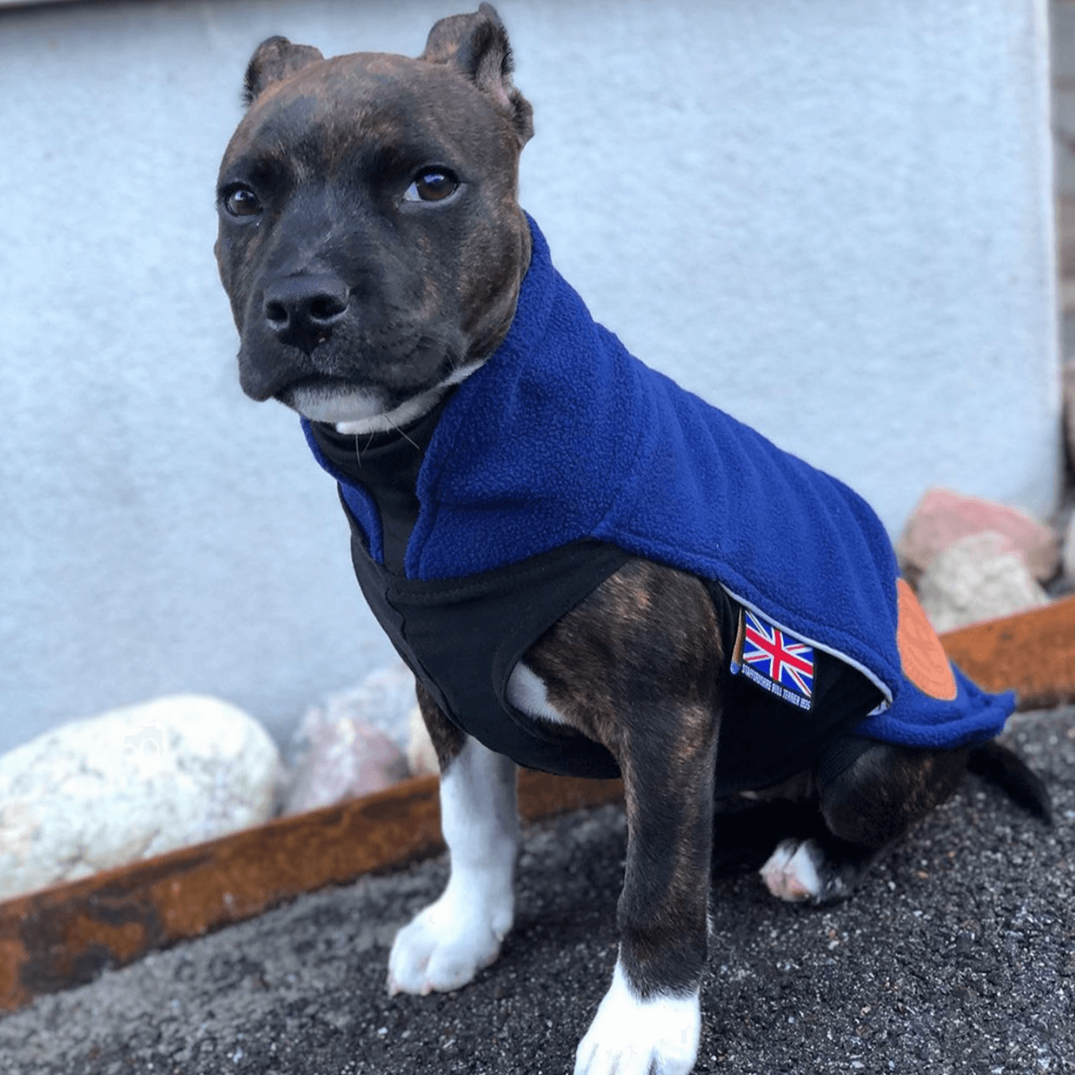 Staffy Fleece Coat - Staffordshire Bull Terrier 1935®