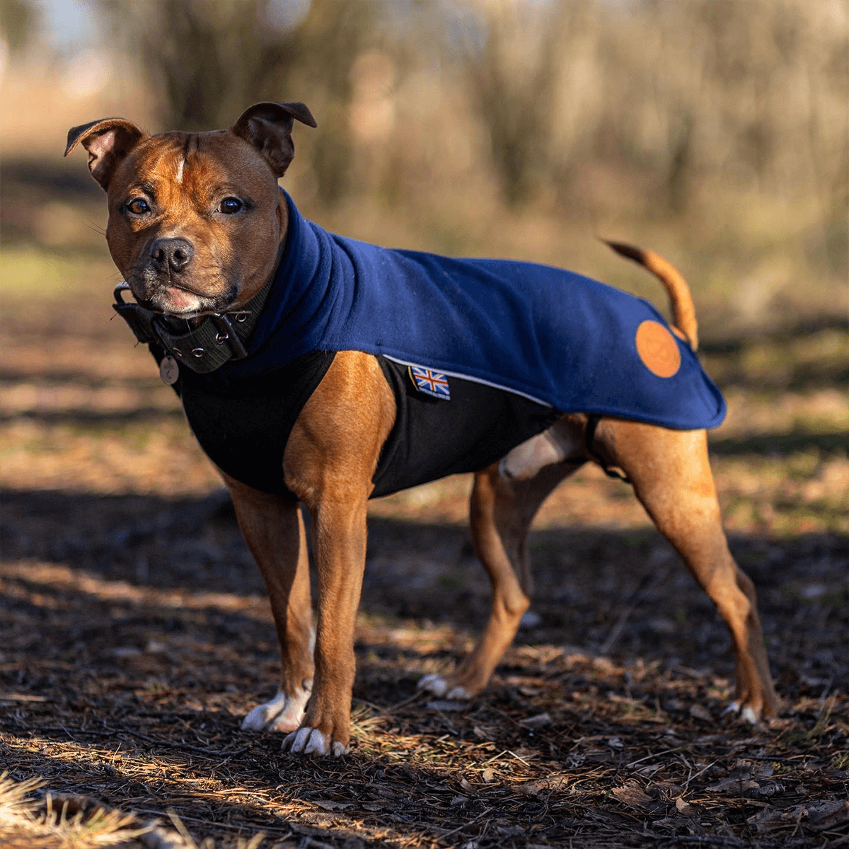 Staffy Fleece Coat - Staffordshire Bull Terrier 1935®