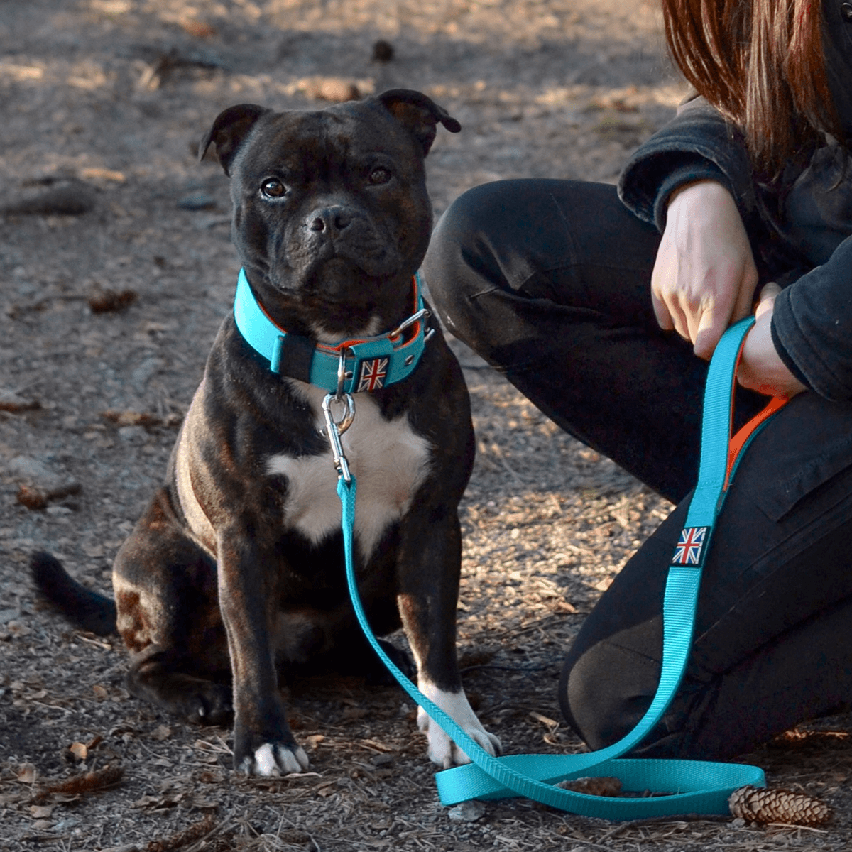 Staffordshire Bull Terrier 1935® Nylon Leash