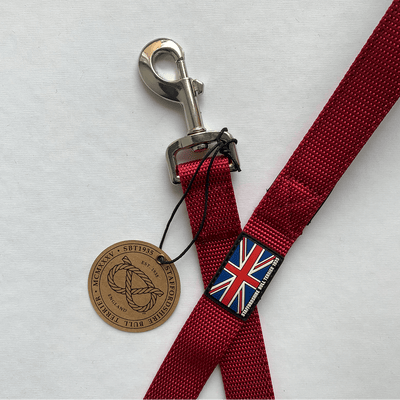 Staffordshire Bull Terrier 1935® Nylon Leash