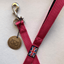 Staffy Nylon Leash - Fuchsia - Normal - Staffordshire Bull Terrier 1935®