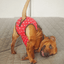 Staffordshire Bull Terrier 1935® Hygiene Panties with Suspenders - Polka Dot