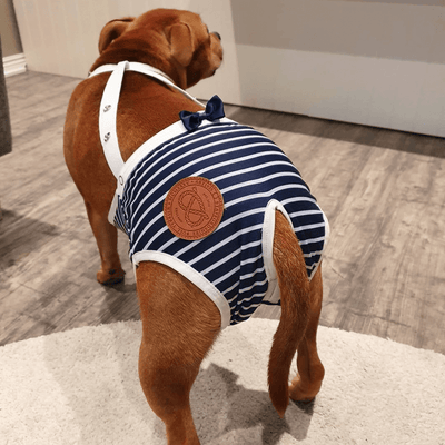 Staffordshire Bull Terrier 1935® Culotte Hygiène - Sailor