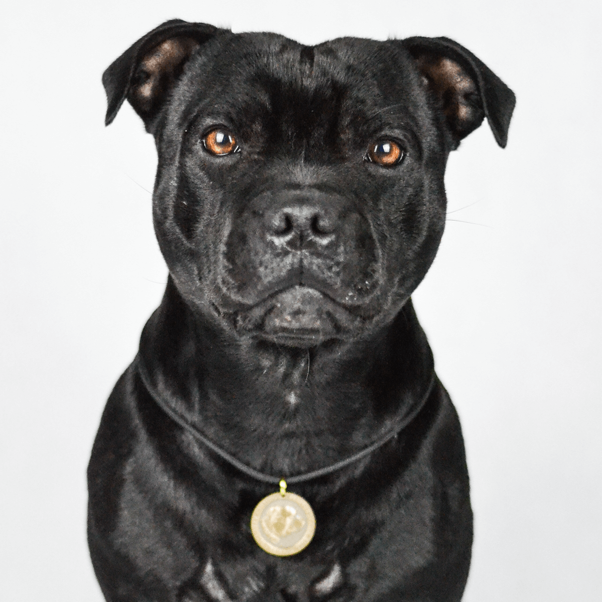 Staffy Nametag with Paracord String - Staffordshire Bull Terrier 1935®