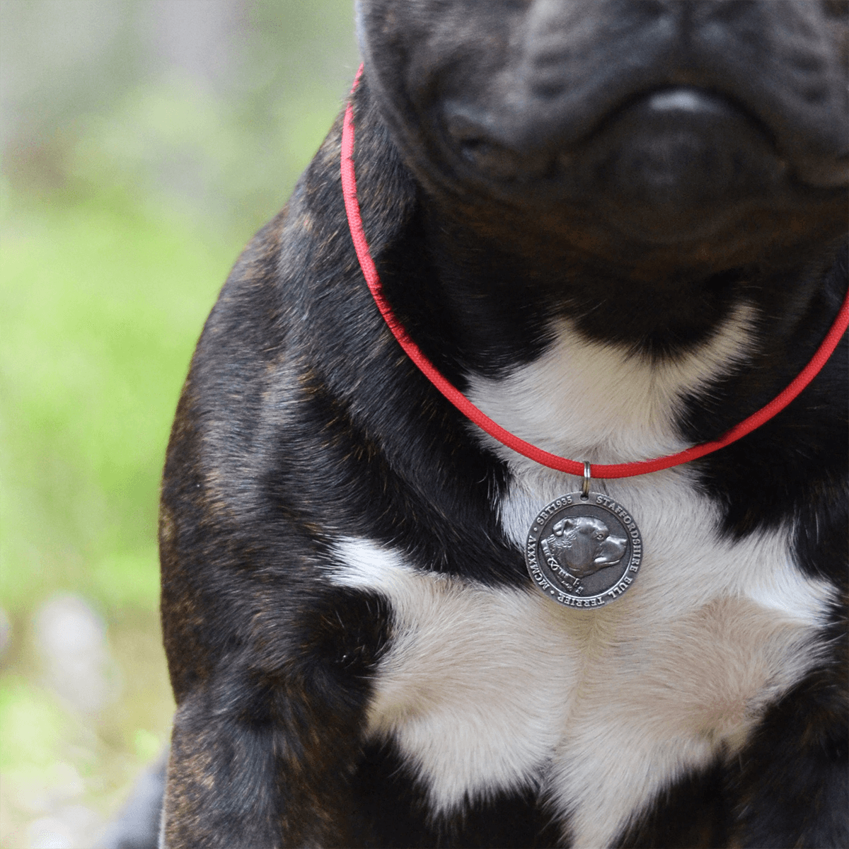 Staffy Nametag with Paracord String - Antique - Staffordshire Bull Terrier 1935®