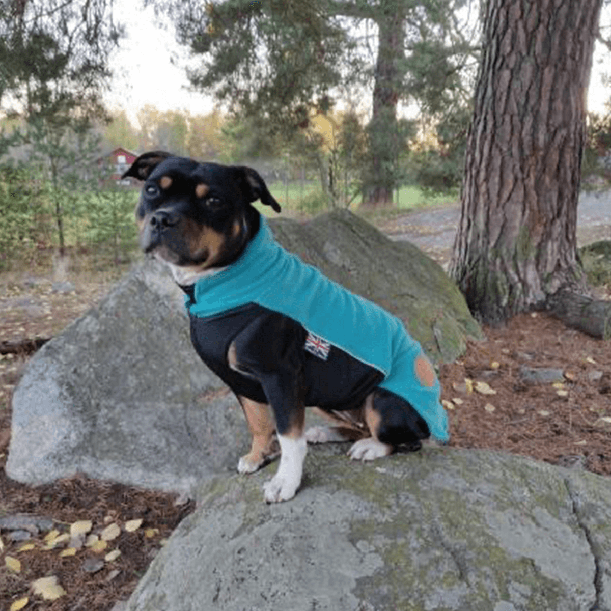 Staffordshire Bull Terrier 1935® Fleece Coat