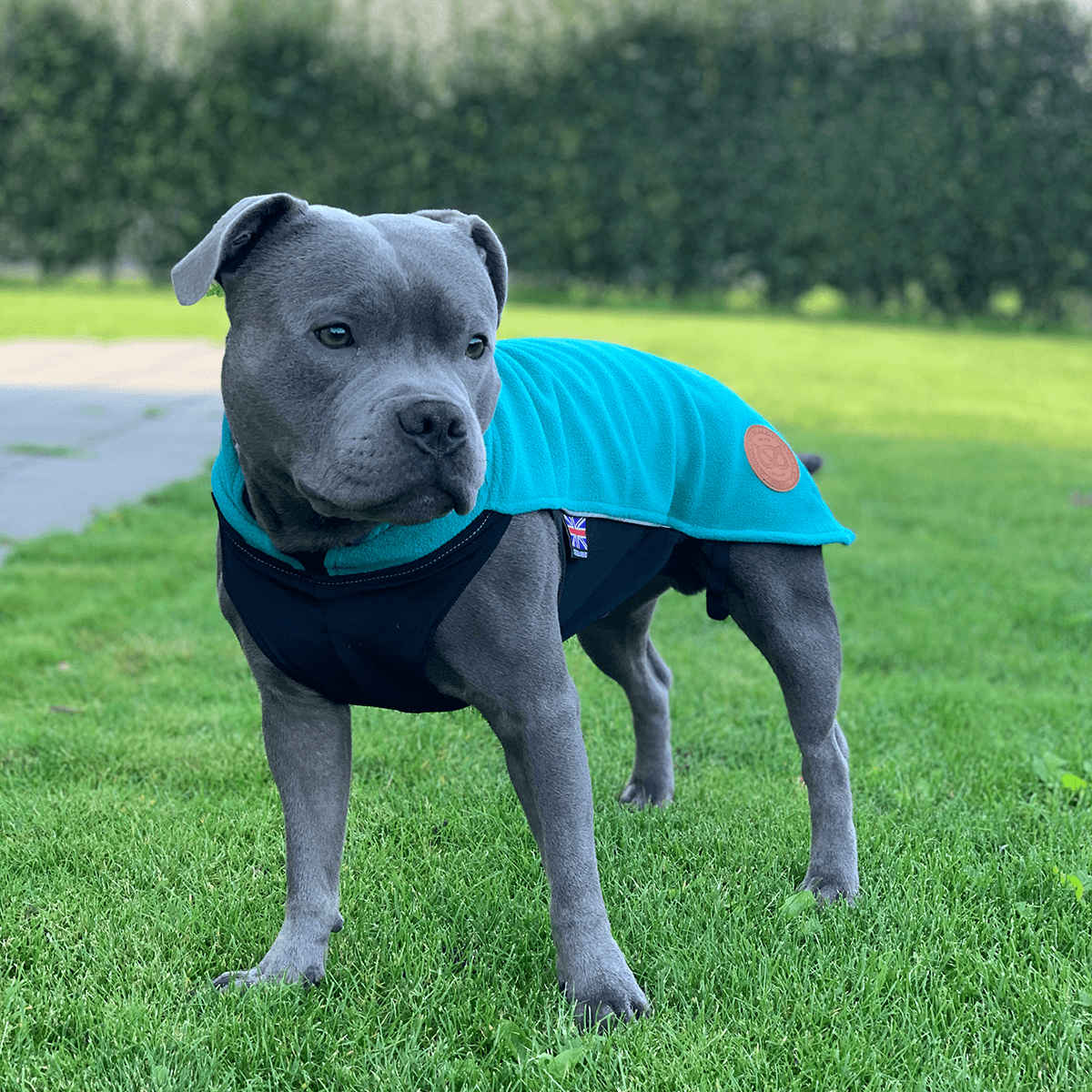 Staffordshire Bull Terrier 1935® Fleece Coat