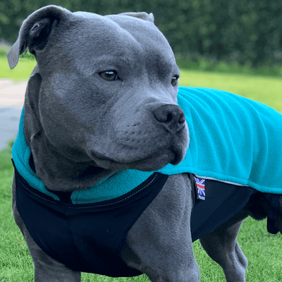 Staffordshire Bull Terrier 1935® Fleece Coat