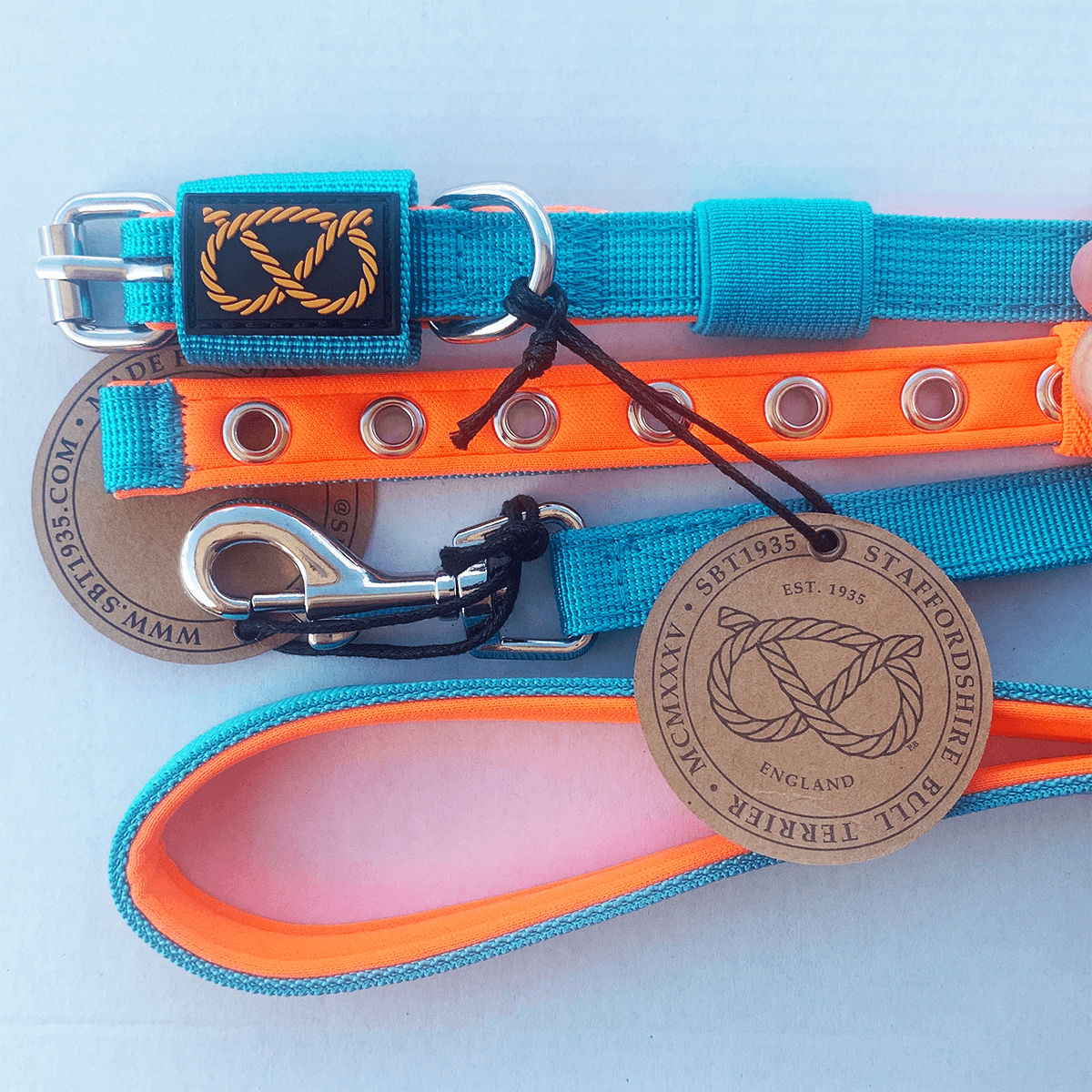 Staffordshire Bull Terrier 1935® Puppy Collar & Leash Set - Alvin Edition - Aqua & Neon Orange