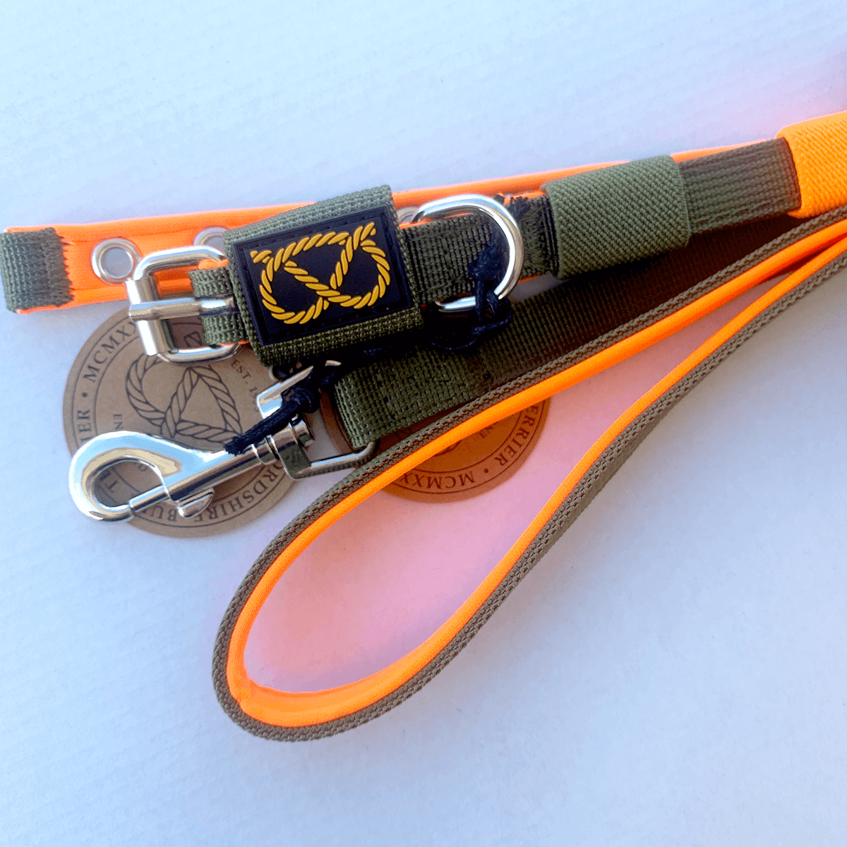 Staffordshire Bull Terrier Puppy Collar & Leash Set - Staffordshire Bull Terrier 1935®