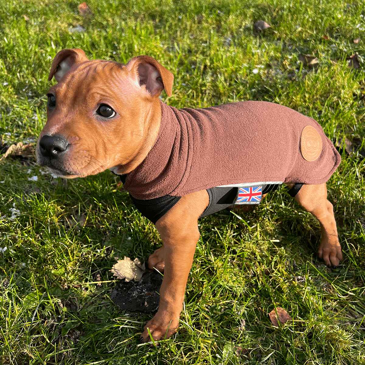 Staffordshire Bull Terrier Puppy Fleece Coat - Staffordshire Bull Terrier 1935®