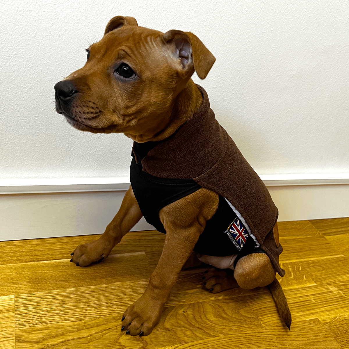 Staffordshire Bull Terrier Puppy Fleece Coat - Staffordshire Bull Terrier 1935®