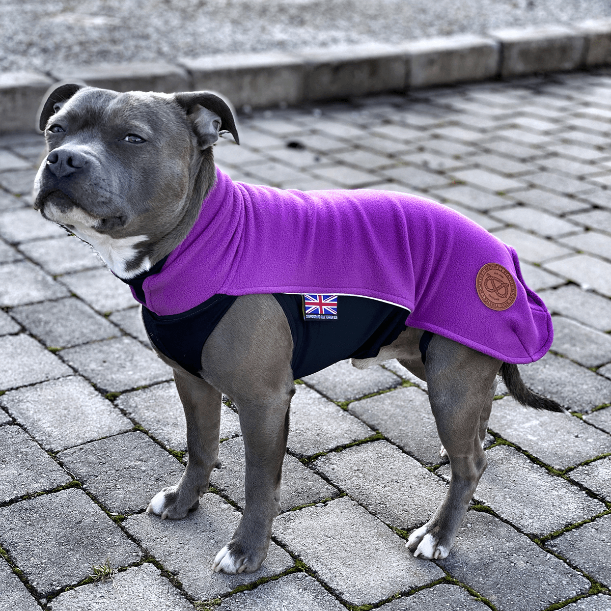 Staffordshire Bull Terrier 1935® Fleece Coat - Purple